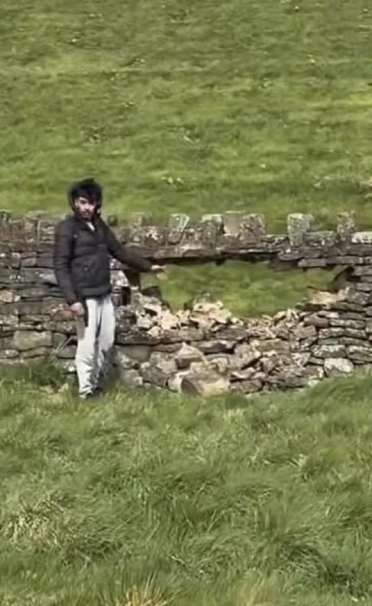 ✞✟† 🅰️d Vitam 🐓🪢 tweet media