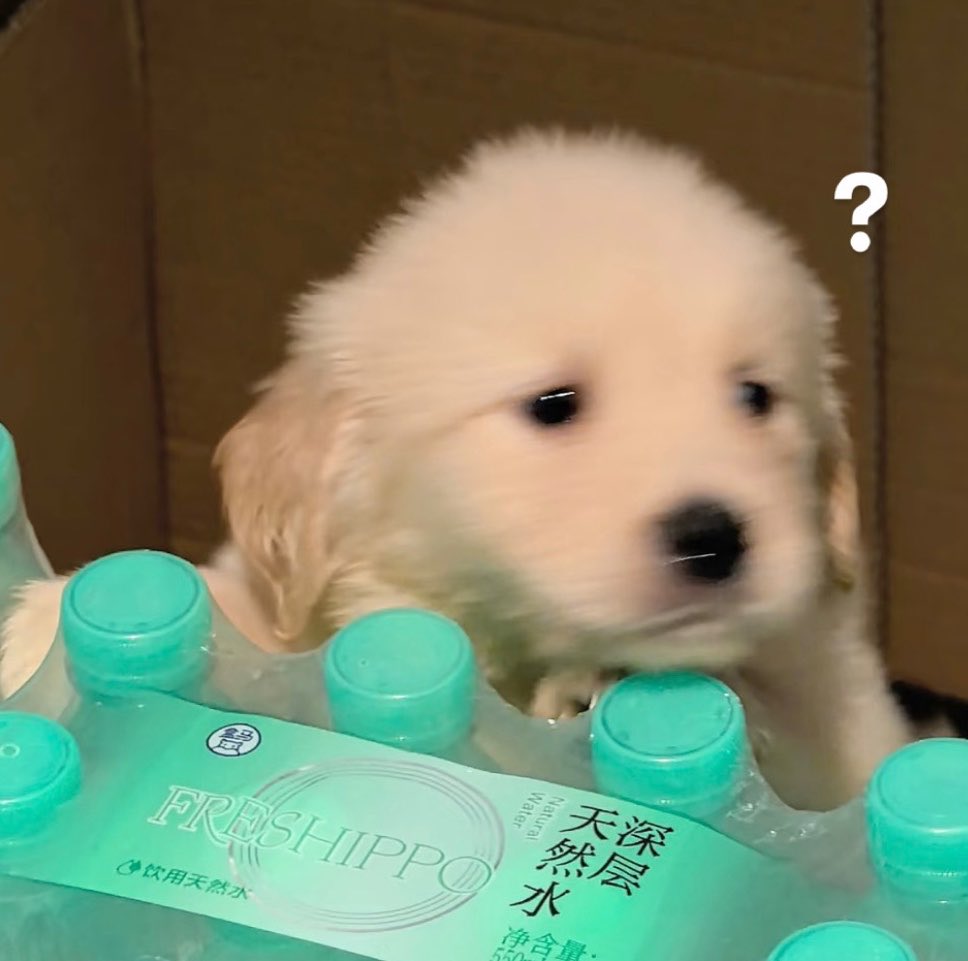 บ้บ tweet media