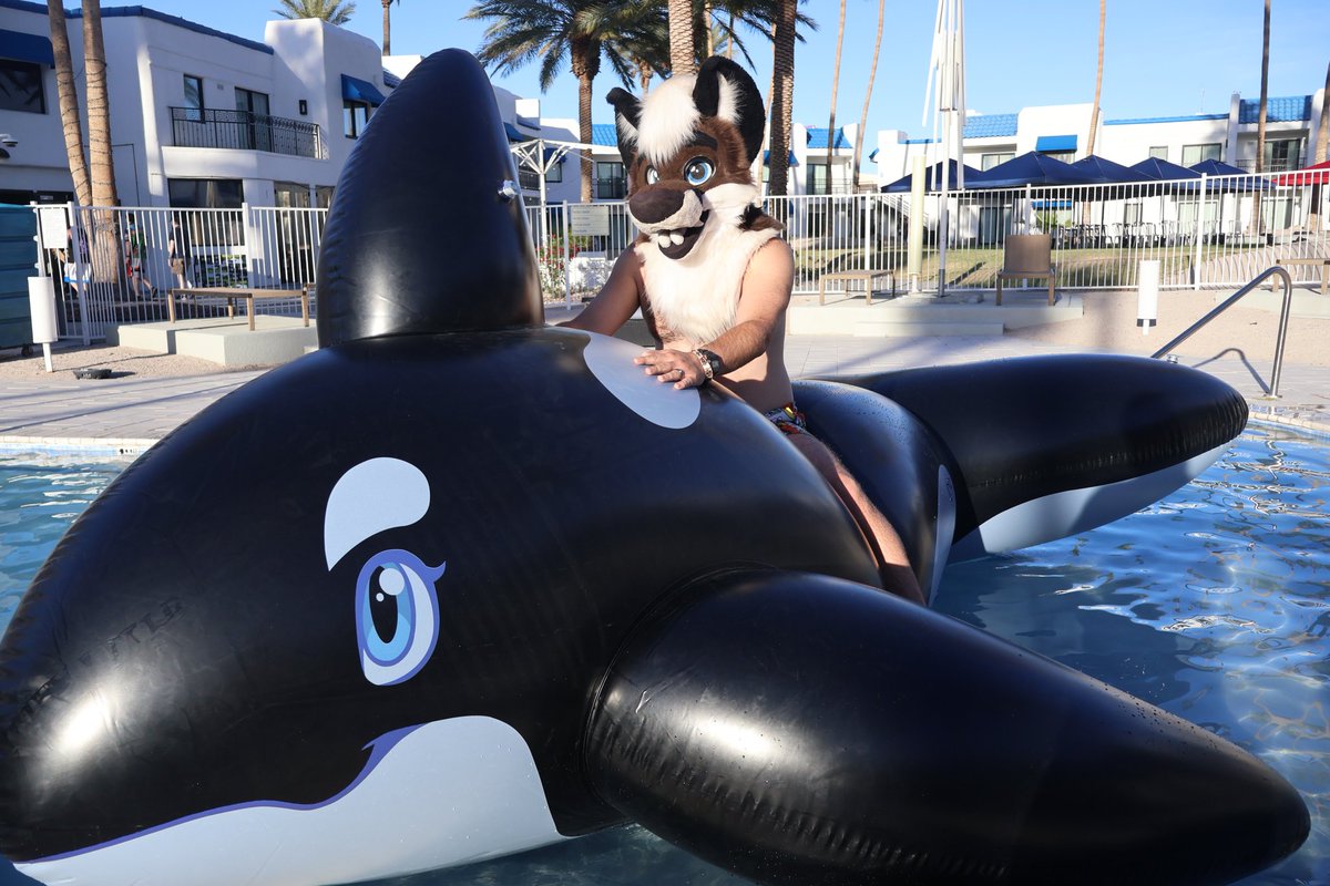 Come join me, this orca has plenty of room #squeakysaturday