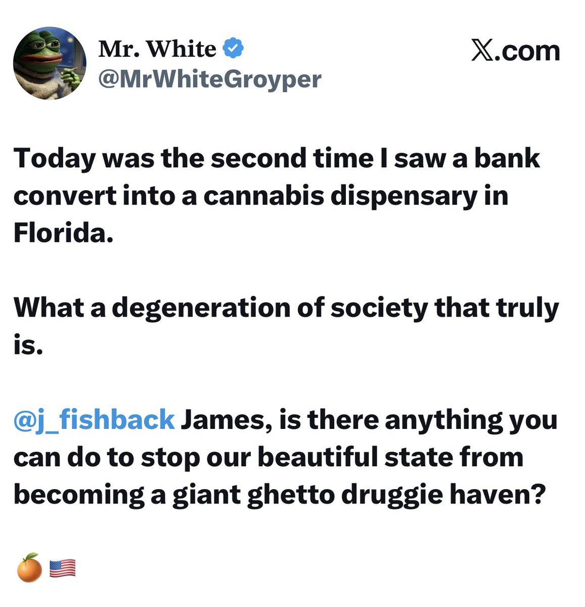 James Fishback tweet media