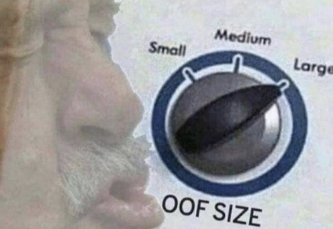 Macca4Reform tweet media