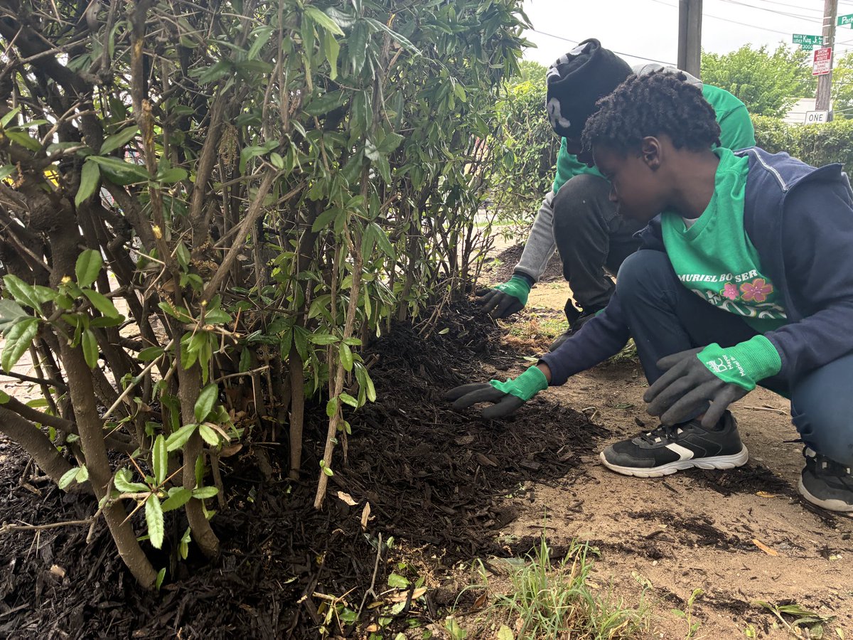 DC Department of Public Works tweet media