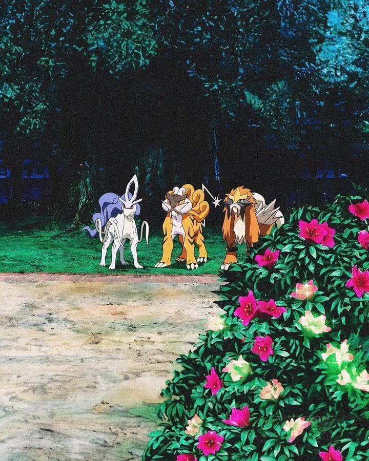 Pokémon Nostalgia (@pokemon_nstlgia) on Twitter photo 