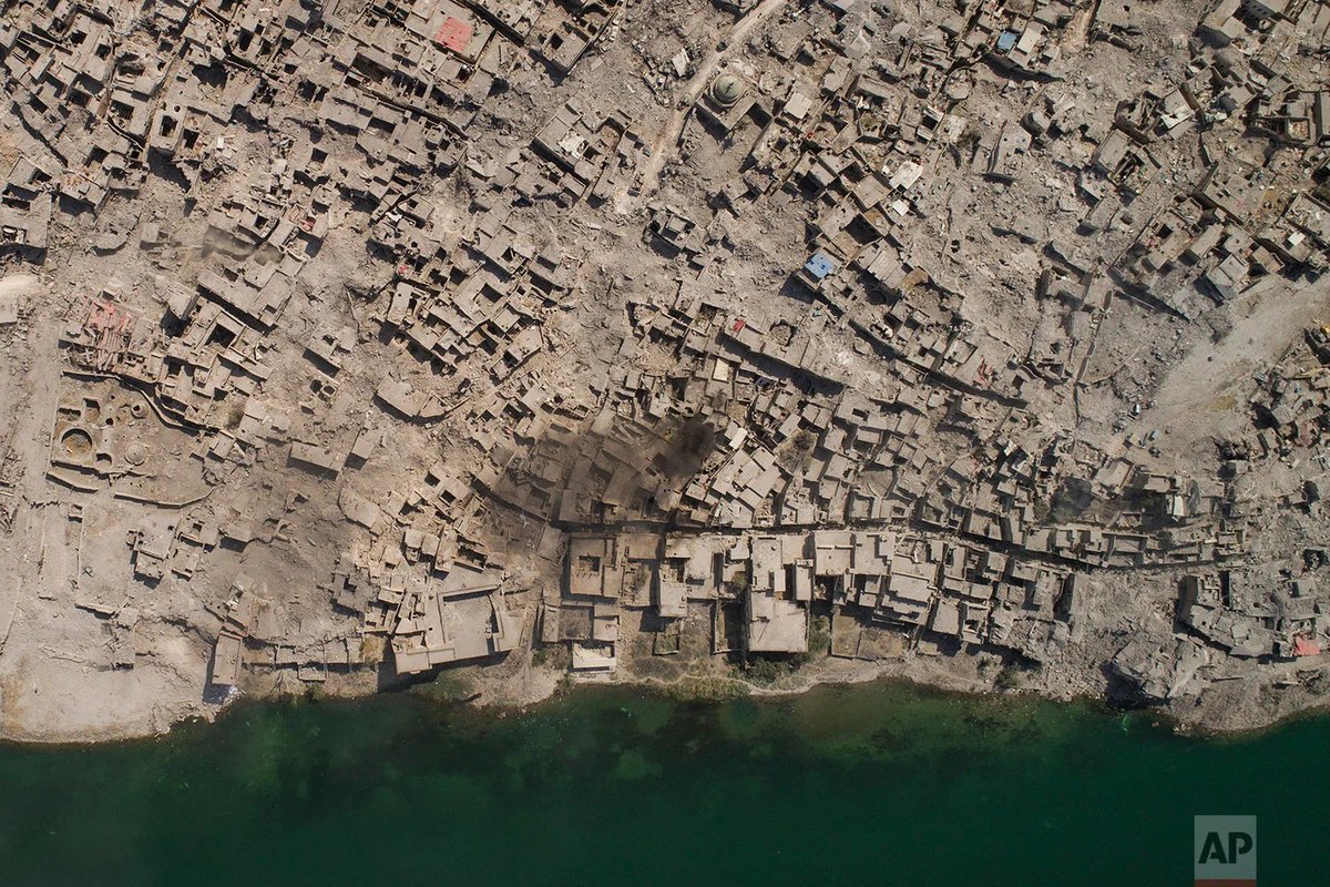 Mokuren(モクレン) 🇯🇵🇮🇱 tweet media