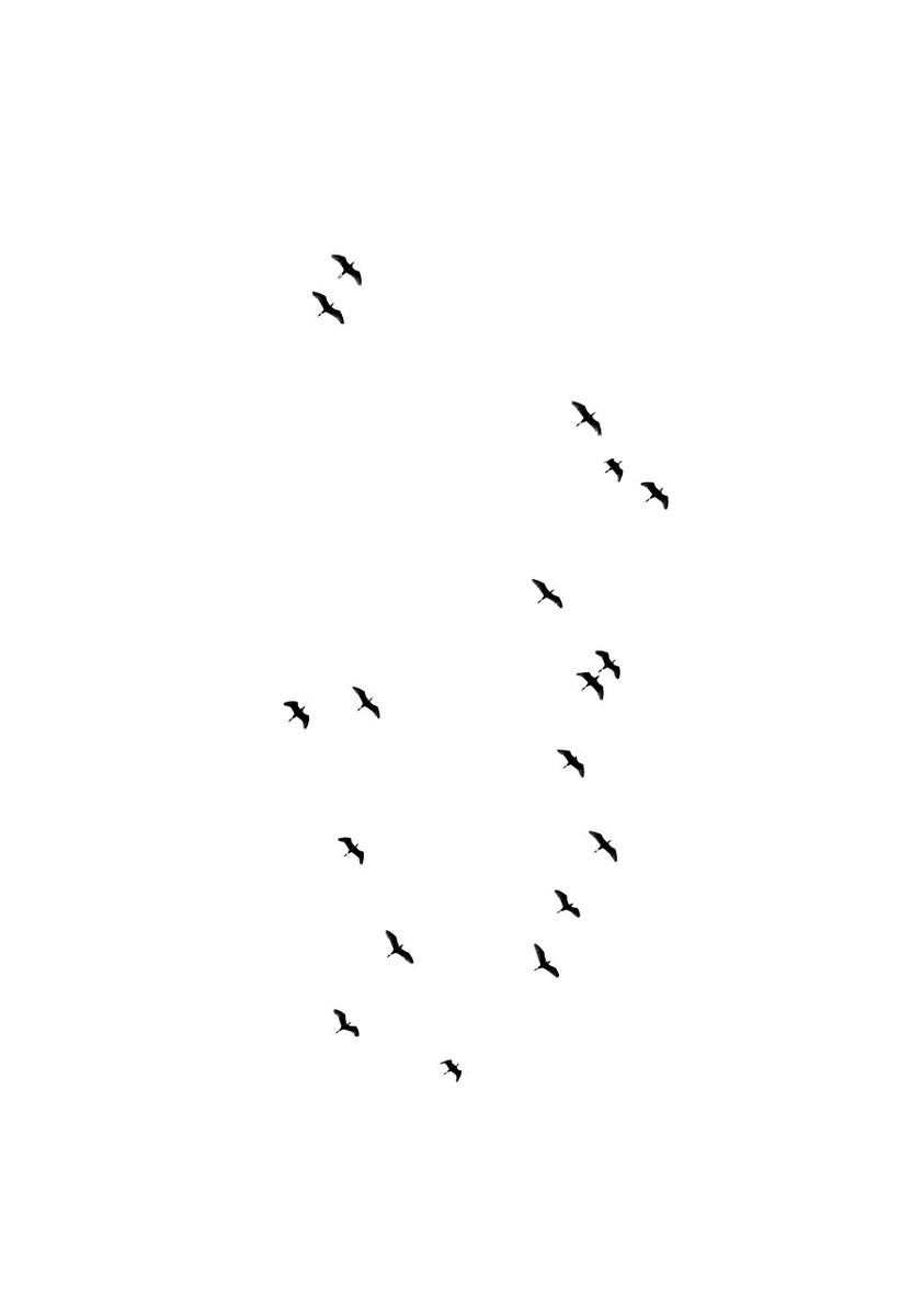 Leila Simmons tweet media