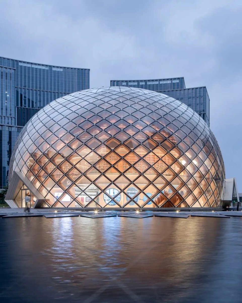 Tectonic Clarity Within A Timber Lattice System 🪵