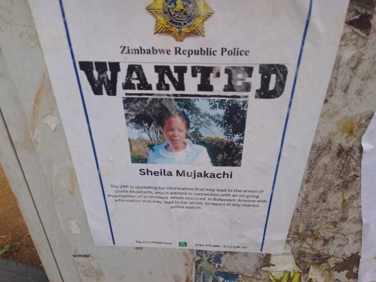 Mayibuye 2.0 tweet media