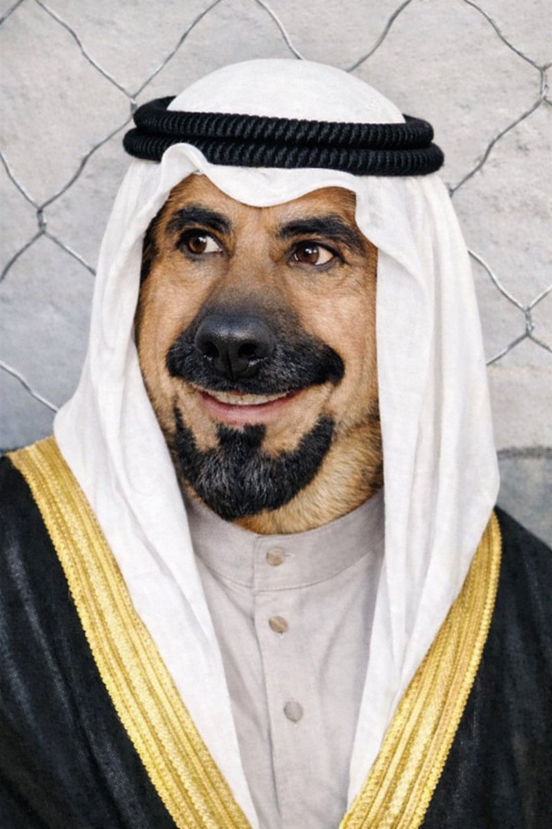 الحسيني tweet media