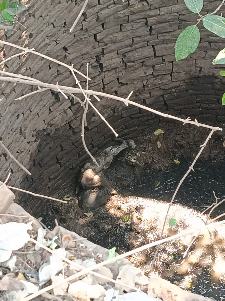 Anupam Sharma, IFS tweet media