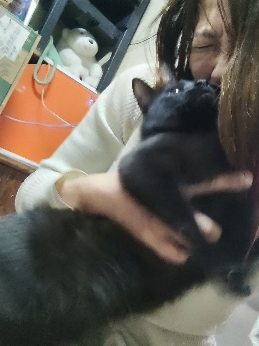 望月うさぎ tweet media