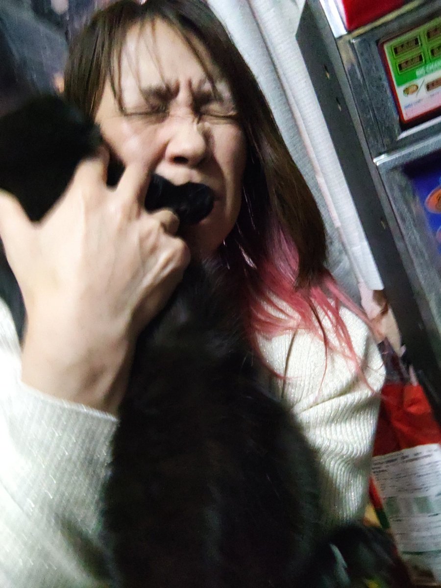 望月うさぎ tweet media