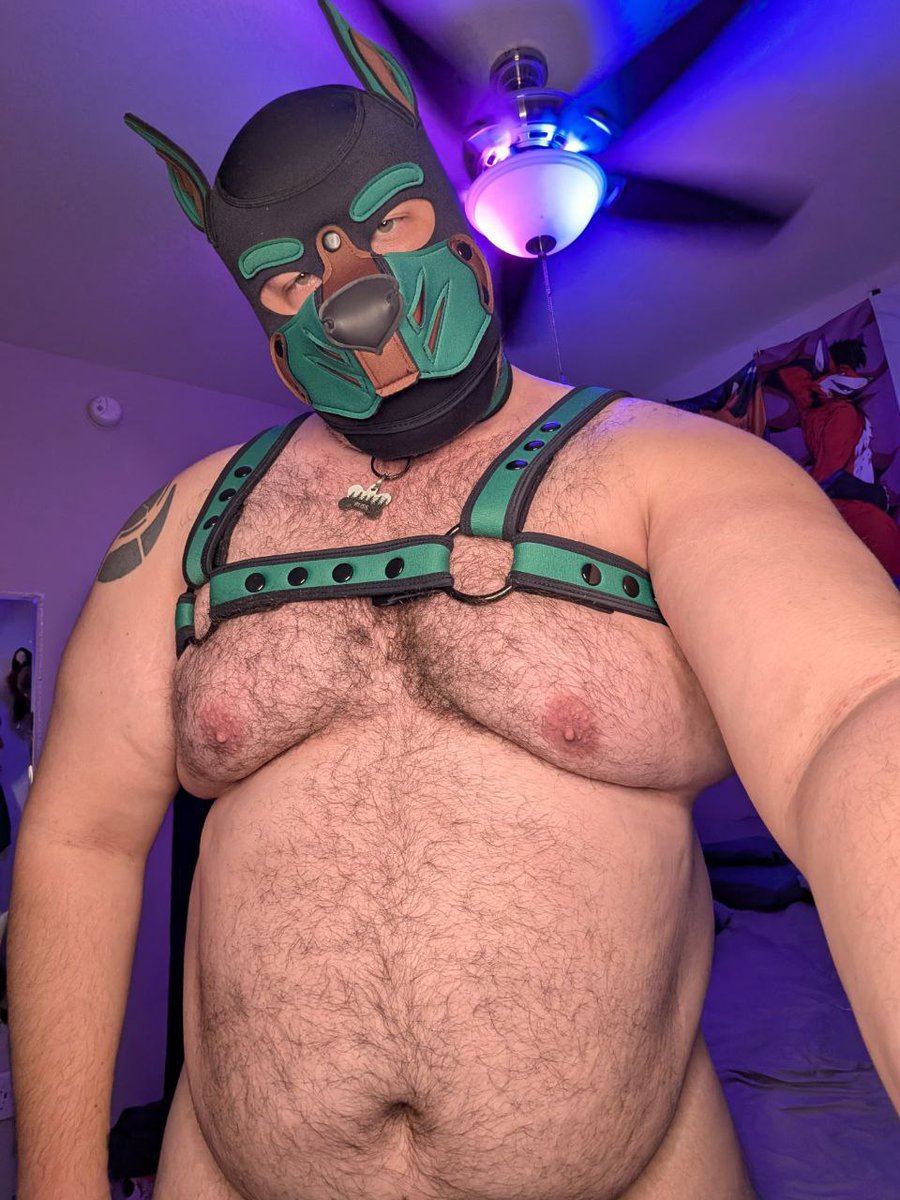 pup_russ's tweet photo. Im lookin thick today https://t.co/qQzoKBA34r