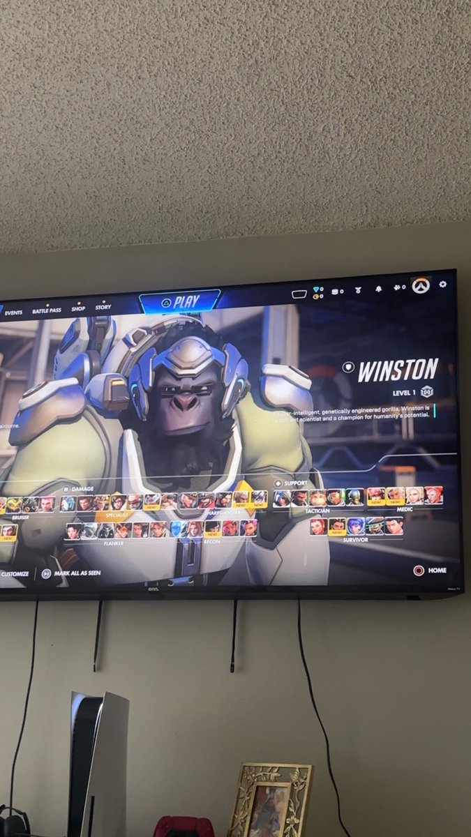 Mhi’ya (Queen Of Flipss) 🤸🏾‍♀️🐝 tweet media