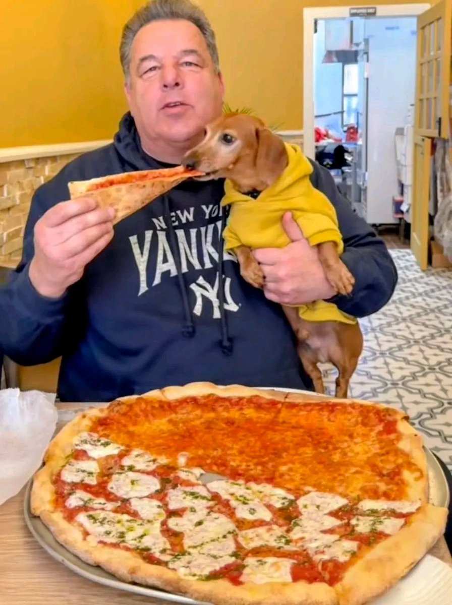 Steve Schirripa tweet media