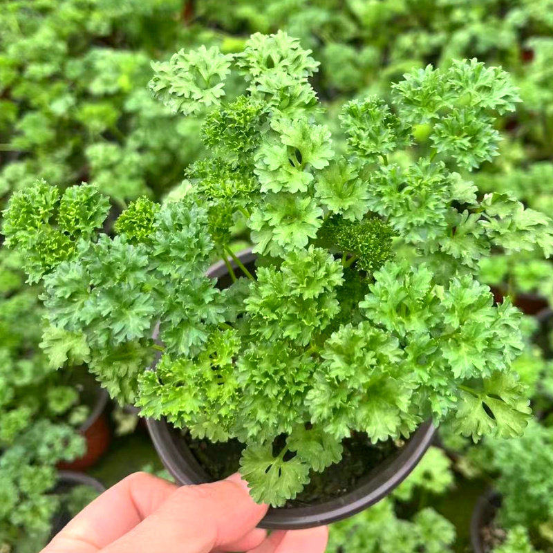 太 ぽん tweet media