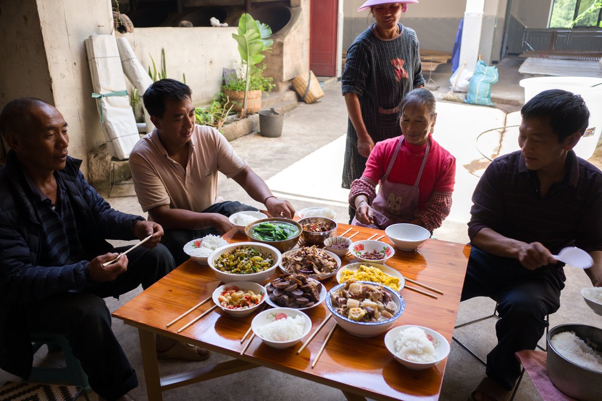 お茶の専門店HOJO tweet media