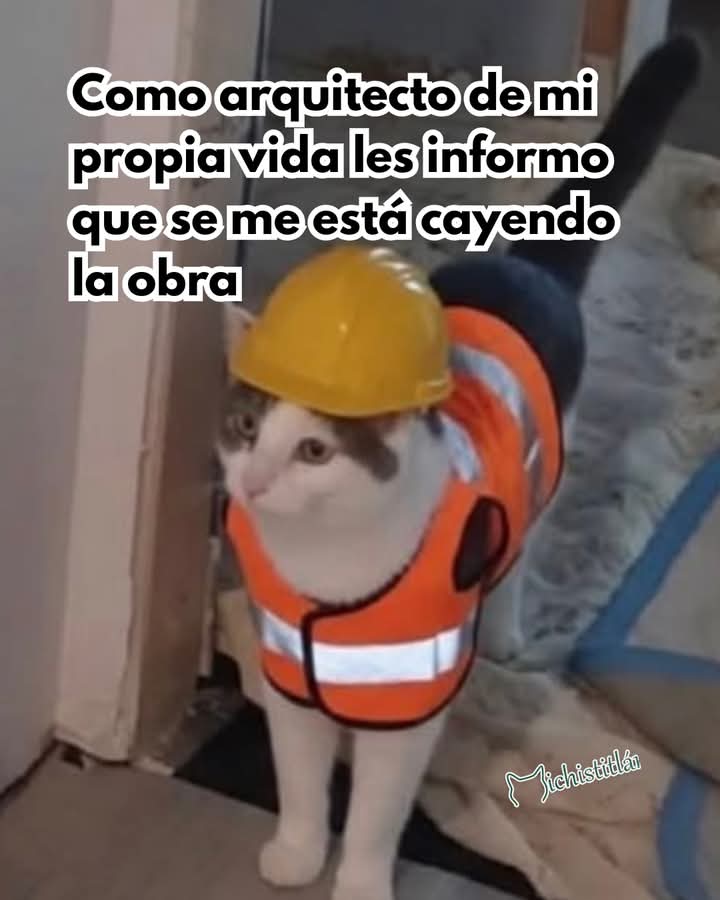 Guillermo Rivera tweet media