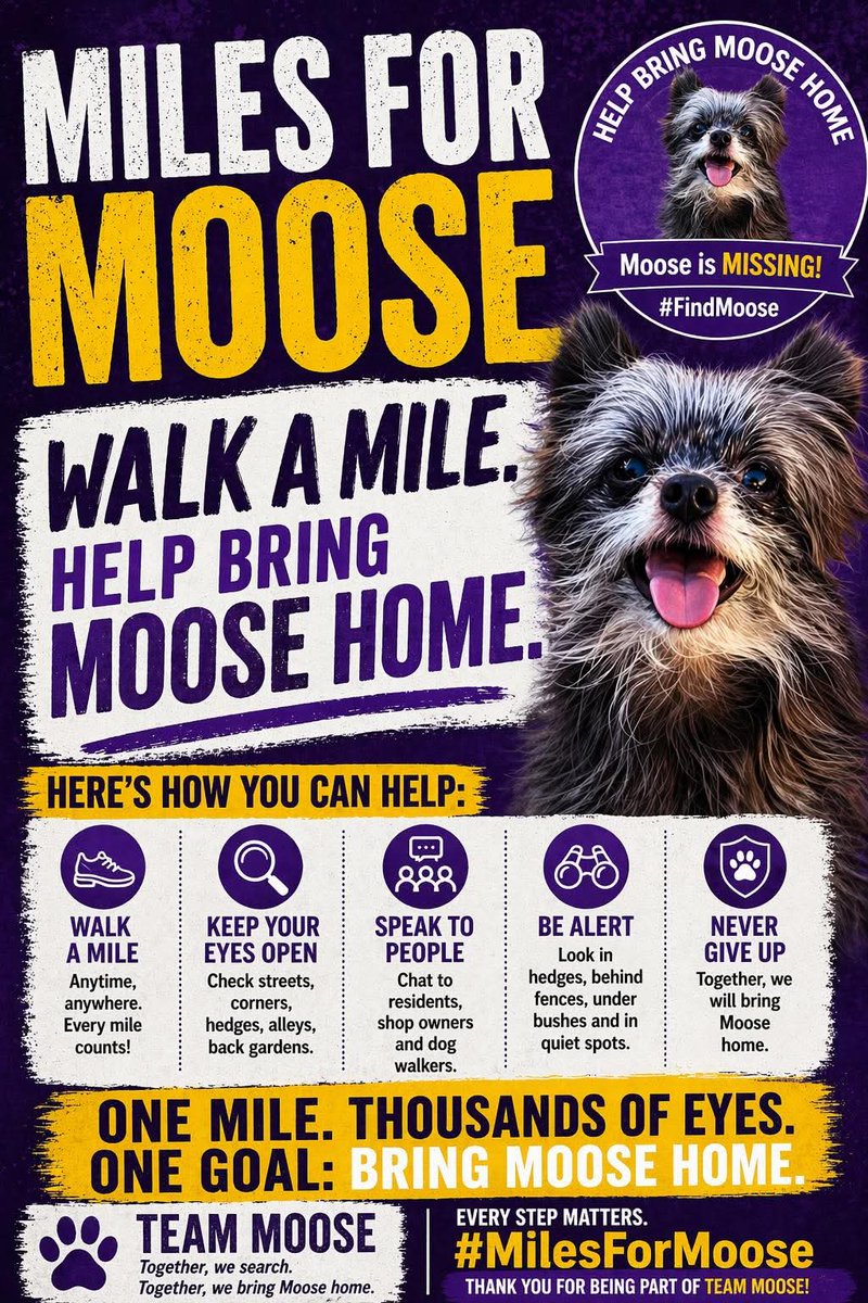 Missing Pets GB tweet media