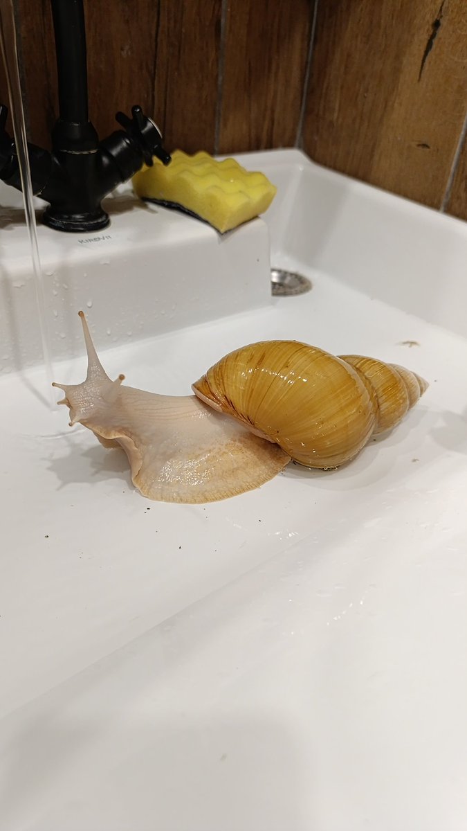 Марина Игоревна tweet media