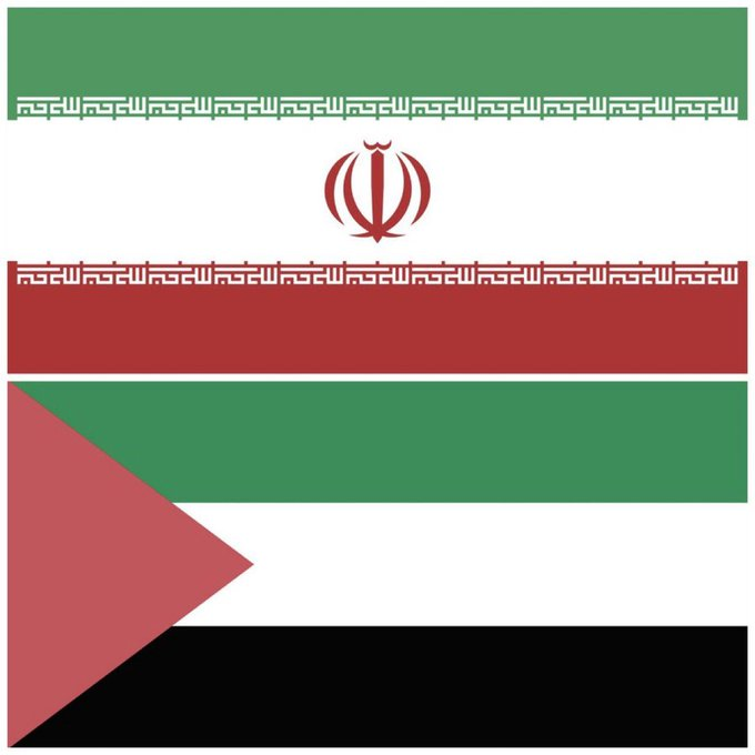 Vivid.🇮🇱 tweet media