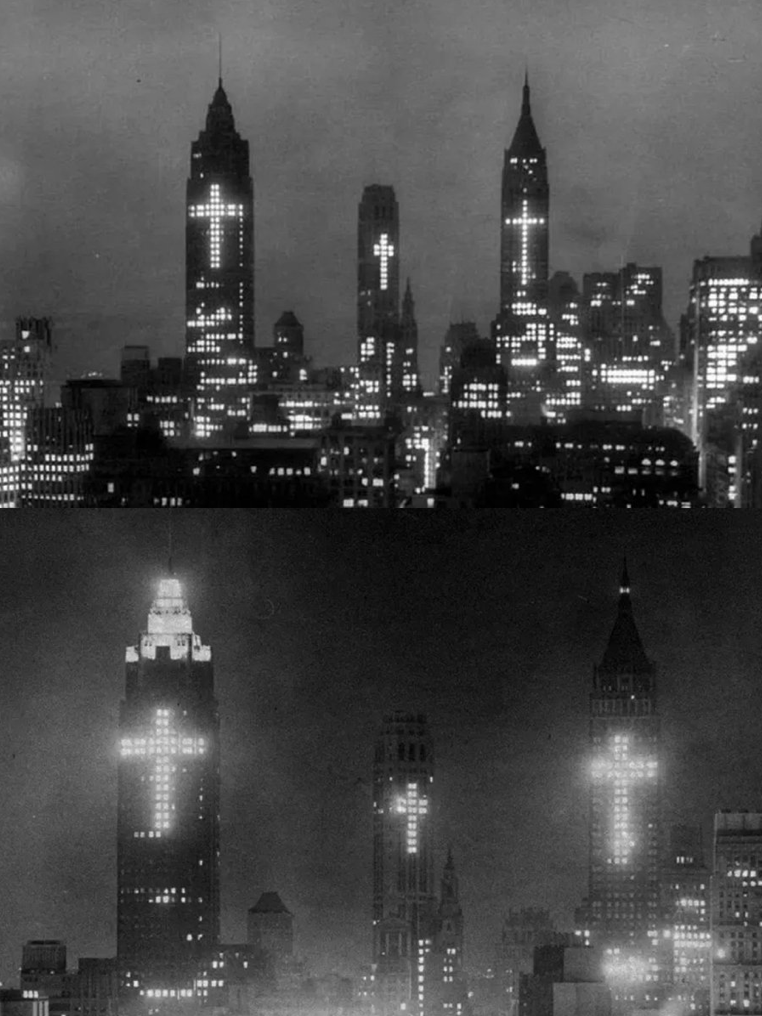 AlbinoParrot tweet media