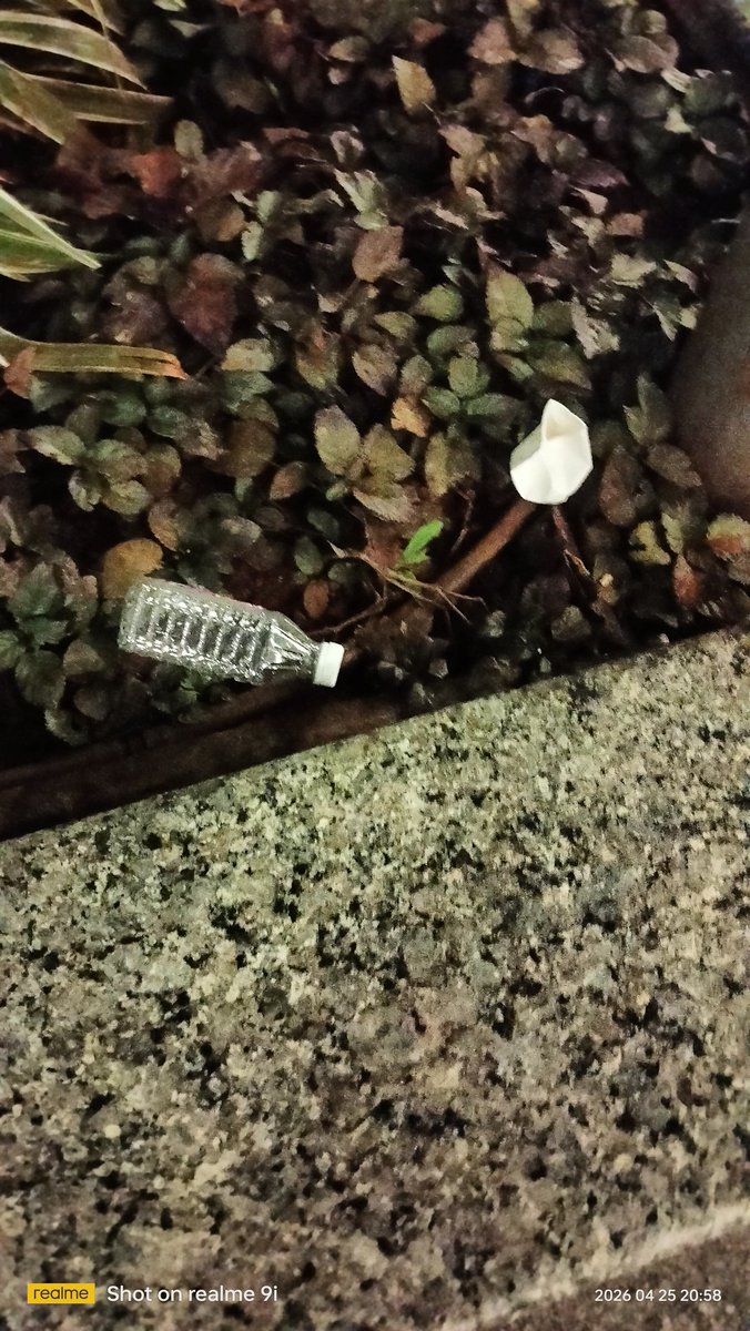 Speak Truth & My Views Jai Hind tweet media