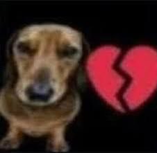 lu odiosa tweet media