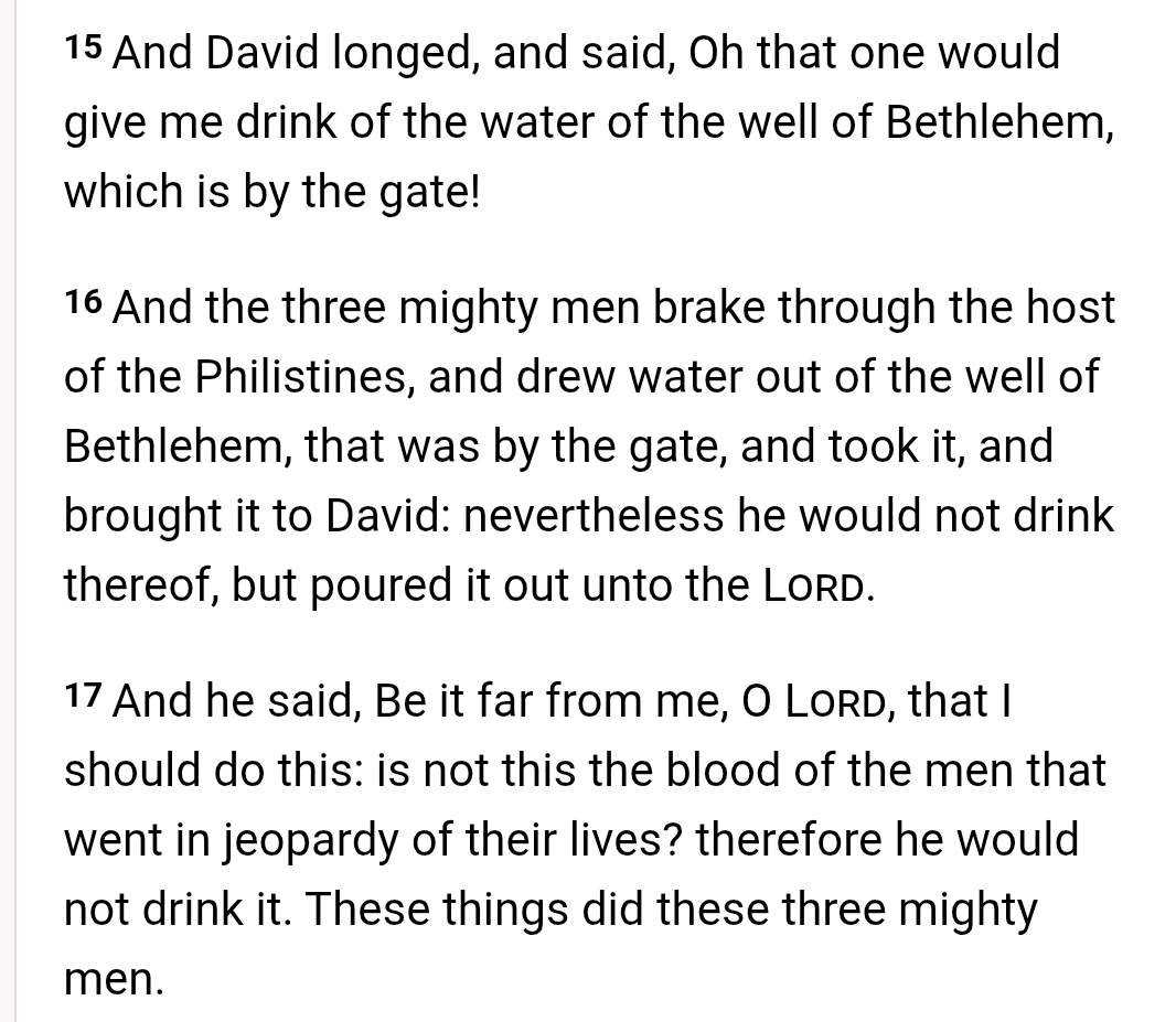 catyusha! tweet media