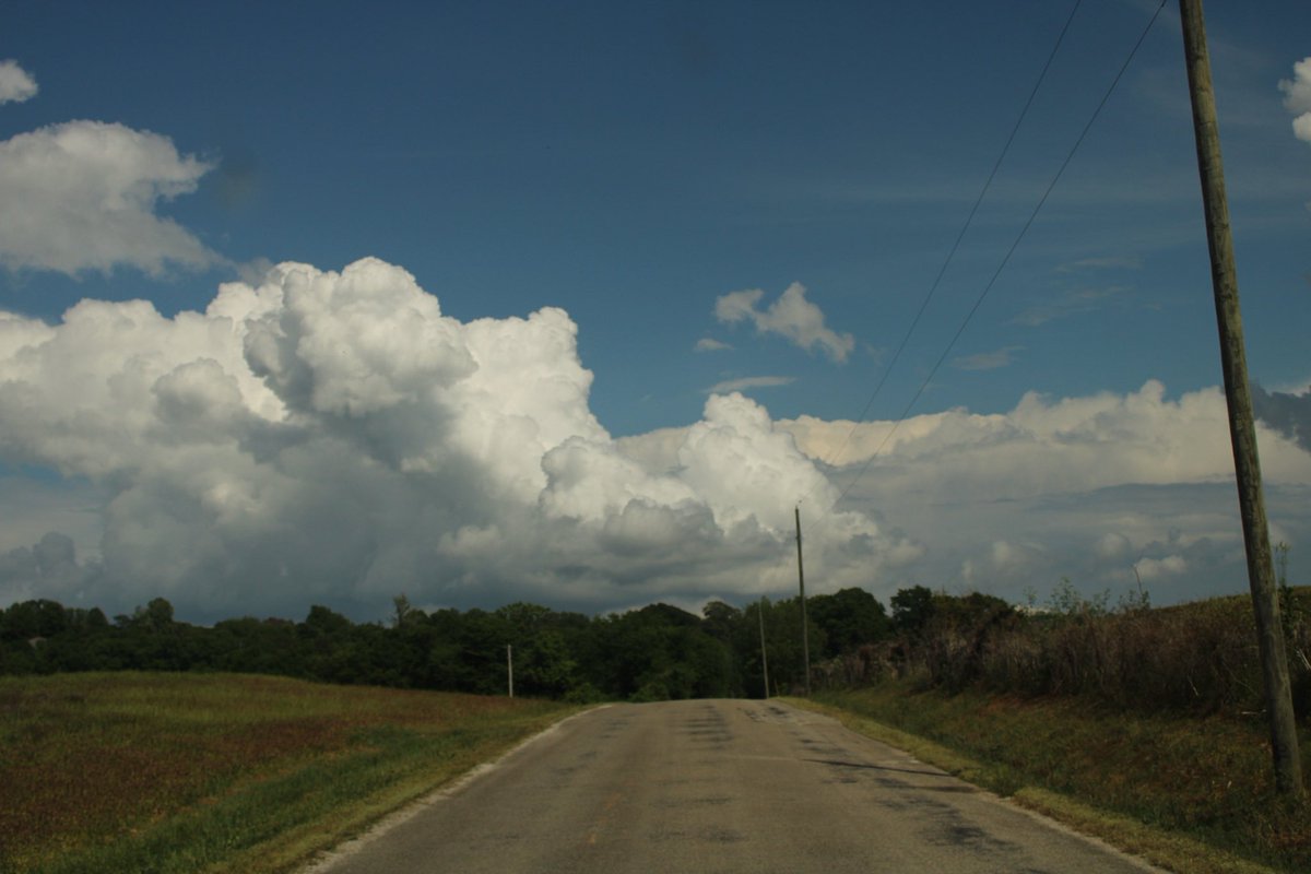 dreamland tweet media