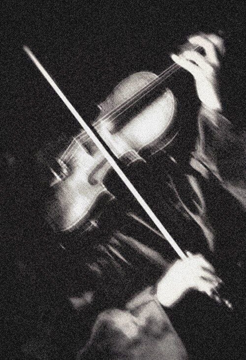 Onilu The Hawker 🧞 tweet media