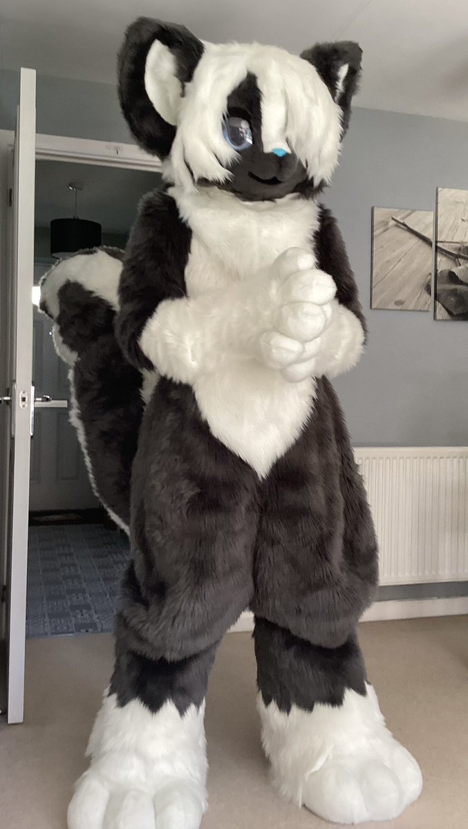 Chilly_Sundae's tweet image. Sundae is real!!! Hopefully I can take him to many events.

🧵- xiaoquandoki10
#skunk #skunkfurry