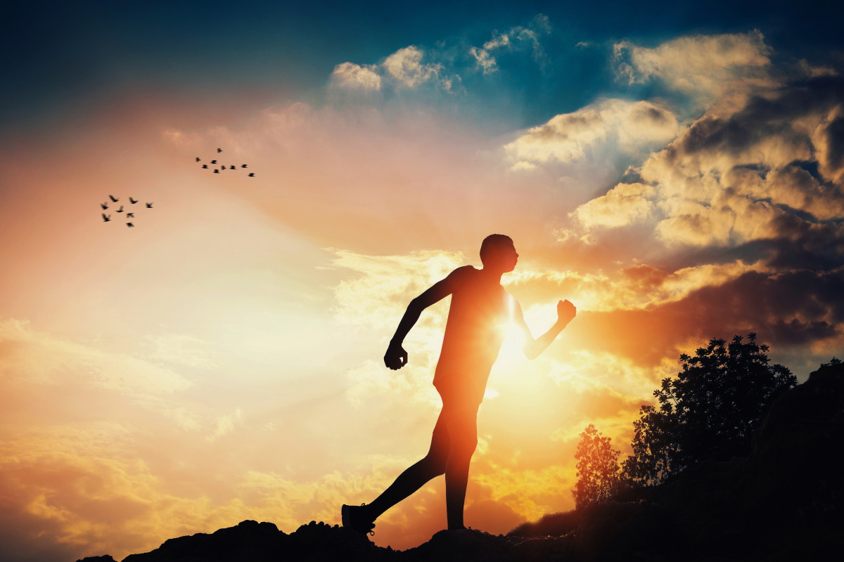 Snap Fitness Alex LA tweet media