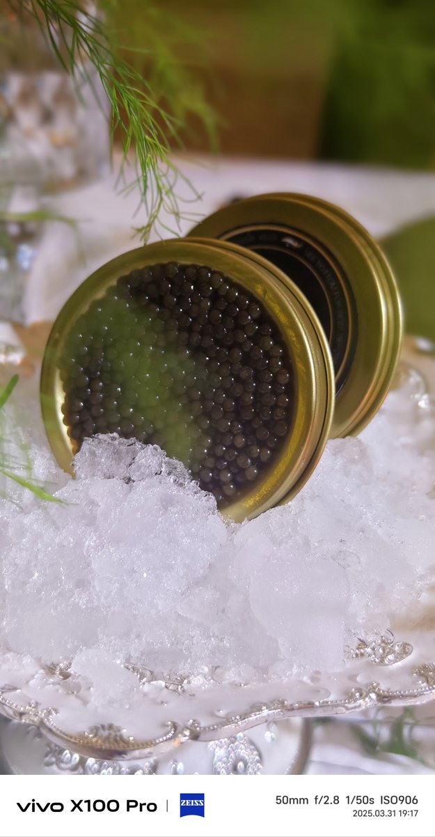 mickeymachine's tweet image. "Dress up, light up, and toast to the magic—tonight’s not just a night, it’s a memory in the making.  #FestiveVibes #MakeItCount"