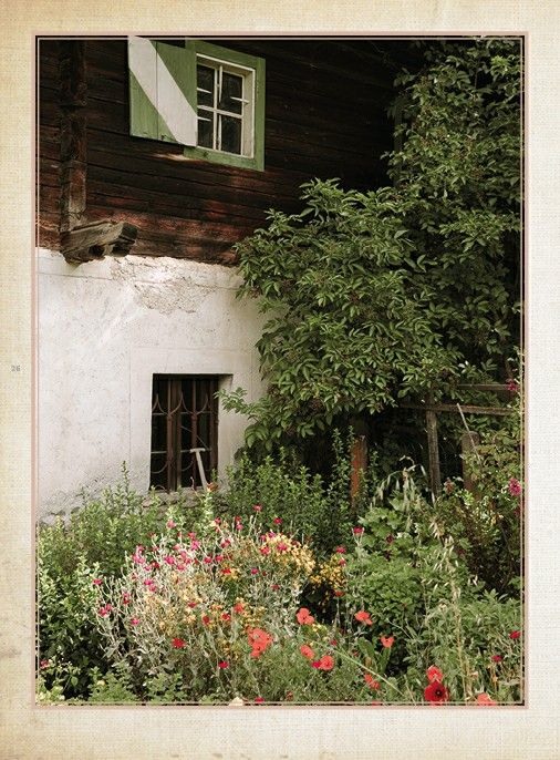 aestheticpost's tweet image. A pure fairytale magic where home and nature whisper the same gentle song. My heart has been drawn here.