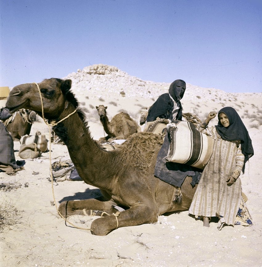 desertlover79's tweet photo. عائلة من قبيلة آل مرة في بادية دولة قطر ١٩٥٩ م https://t.co/LfO3KcyiVm