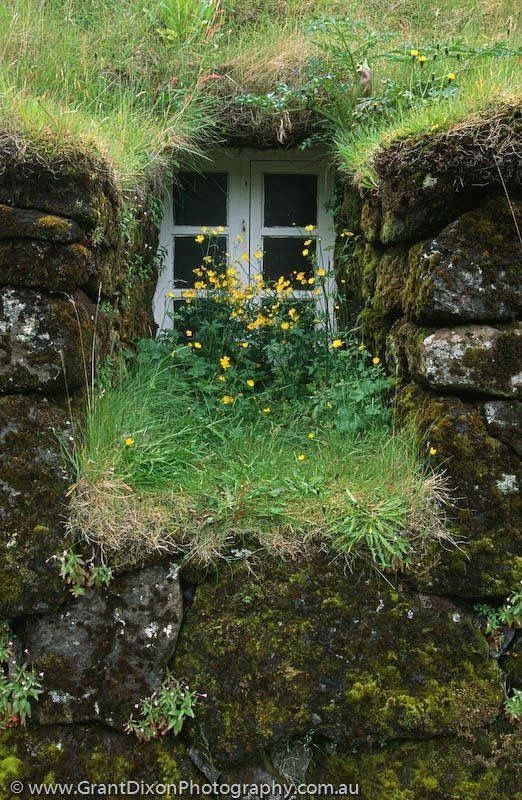 aestheticpost's tweet image. A pure fairytale magic where home and nature whisper the same gentle song. My heart has been drawn here.