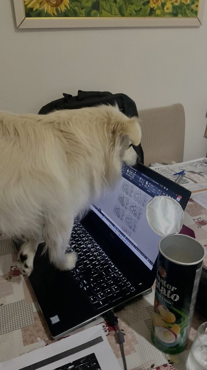 Poikodak's tweet image. Final touch-in e jep gjithmone Kuper #architect