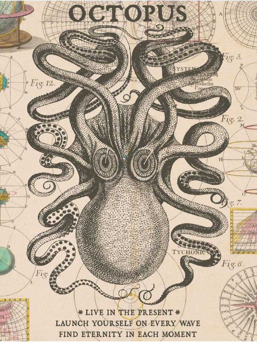 Tendencias y Tuits Borrados tweet media