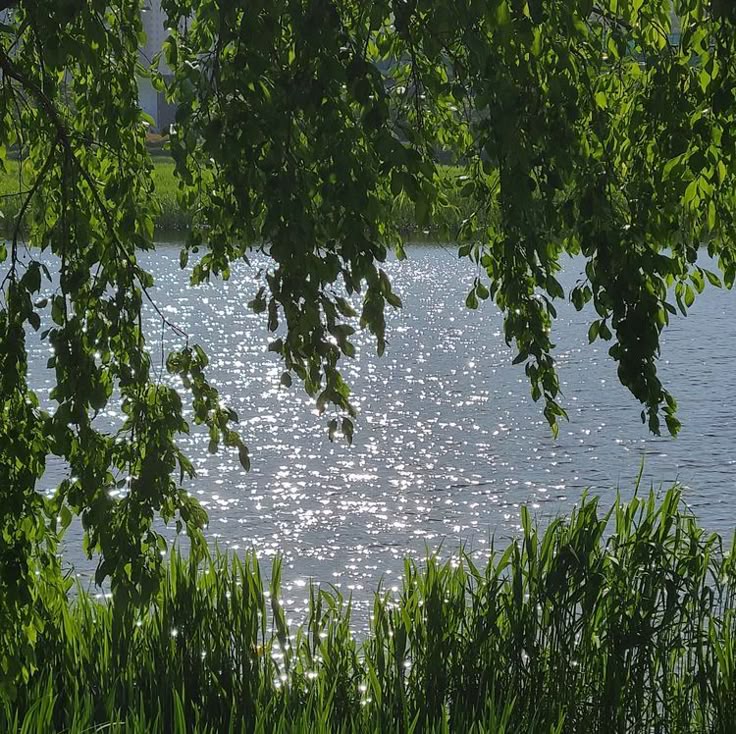 greenvibe's tweet photo. nature https://t.co/77ftR0RreI
