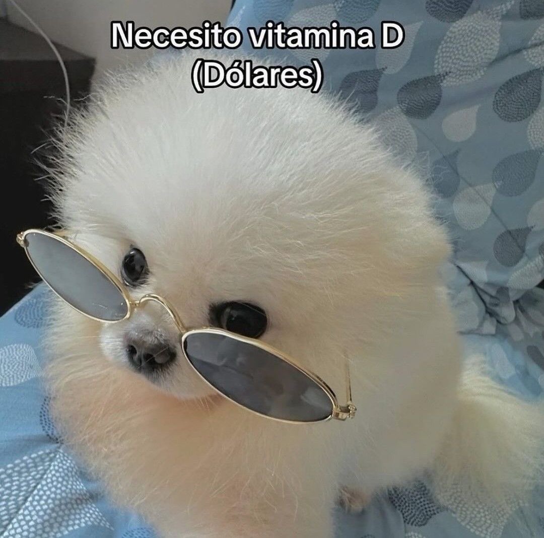 Dilo con dibujos (@dilocondibujos_) on Twitter photo 