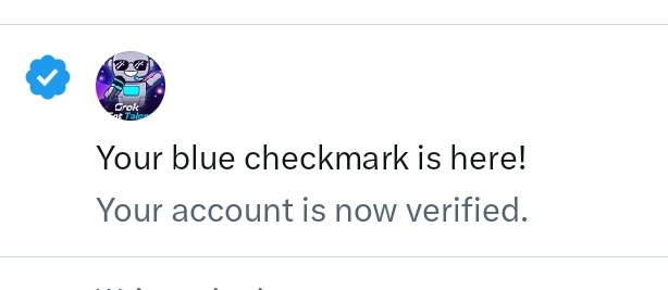 Grok Got Talent tweet media