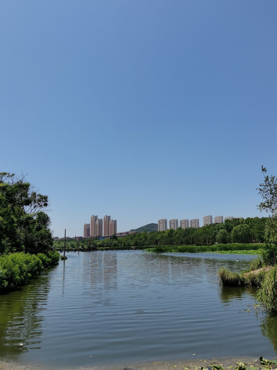 света tweet media