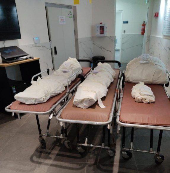 נועה מגיד | Noa magid tweet media