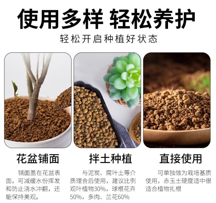 Catt McCartney tweet media