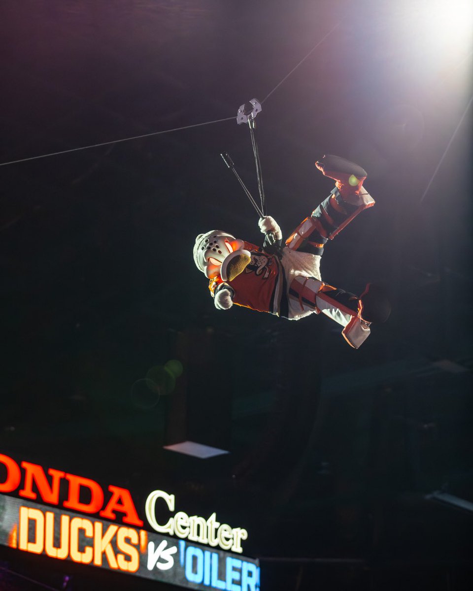 Wild Wing tweet media