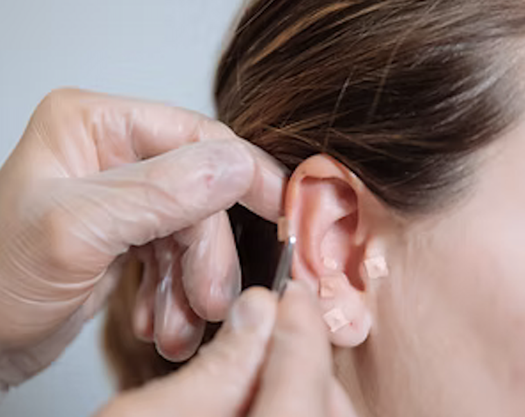 Paul Saladino, MD tweet media