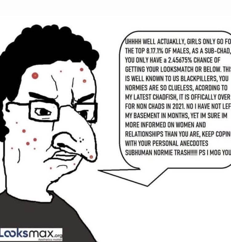 Daily Soyjaks tweet media