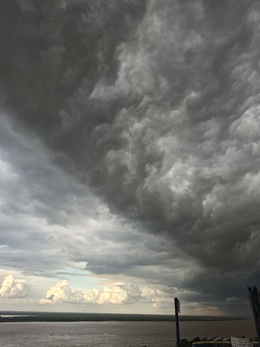 Flordu version ✨ tweet media