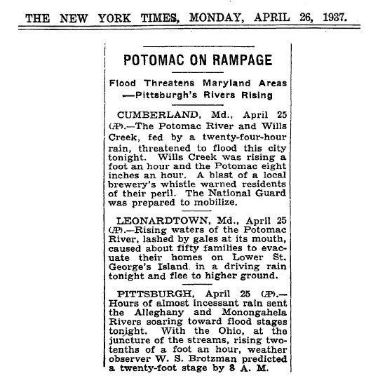 Don Penim tweet media