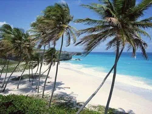 2026, Ayiti dwe reviv! tweet media